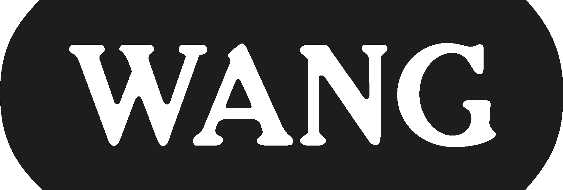 Wang Computers Logo Vector Logo
